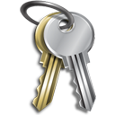 Password keys icon