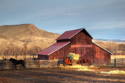 Old Red Barn