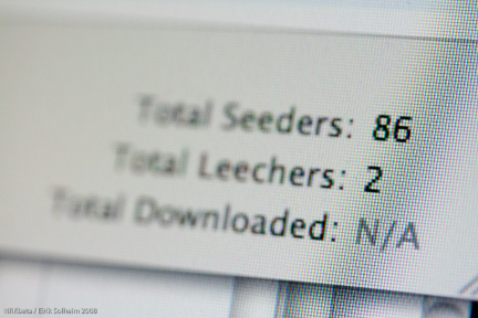 BitTorrent Seeds and Leachers