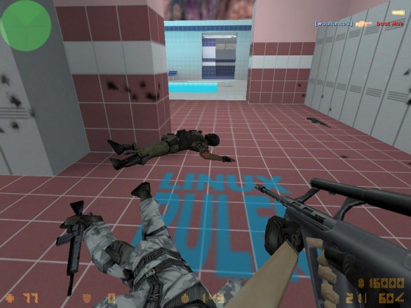 Counterstrike screenshot