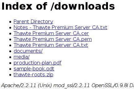 downloads directory on a server
