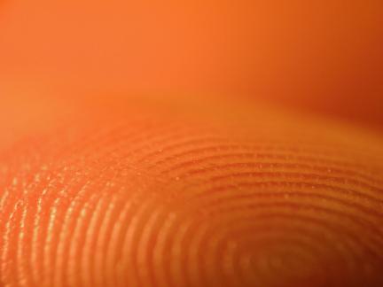 Fingerprint