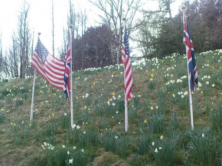 flags