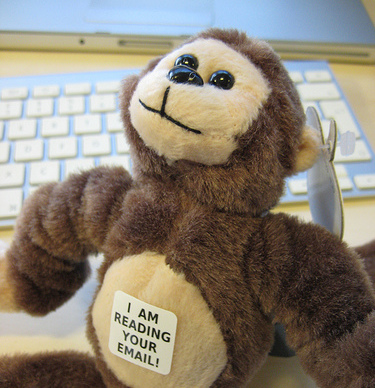 monkey reading your email