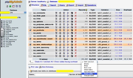 MySQL table repair in phpMyAdmin