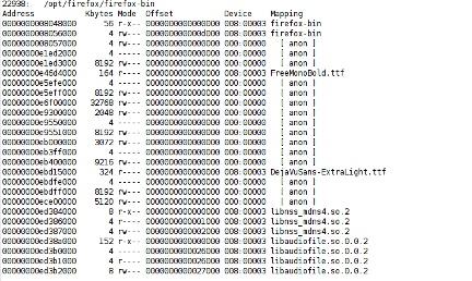 pmap command output