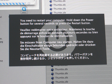 Mac OS X crashing after deleting Windows Thumbs.db files