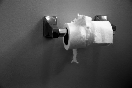 toilet paper