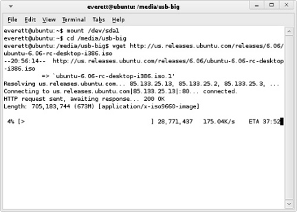 Downloading from the Web using wget